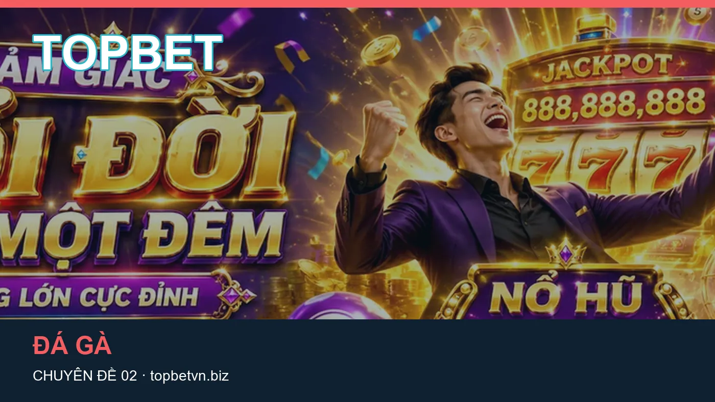 Hình minh họa bài viết TOPBET