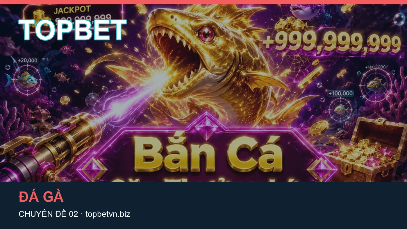 Hình minh họa bài viết TOPBET