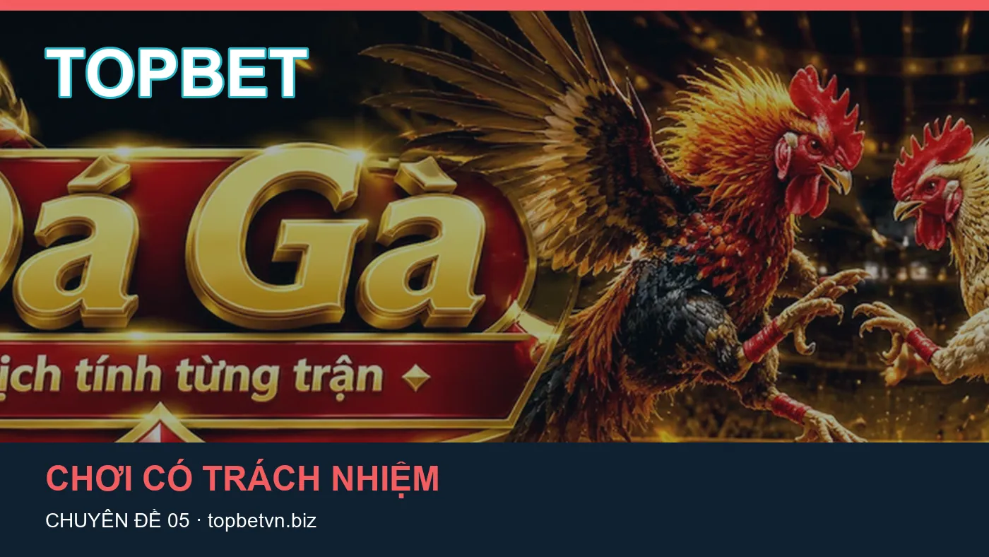 Hình minh họa bài viết TOPBET