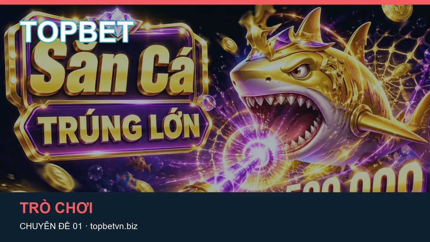 Hình minh họa bài viết TOPBET