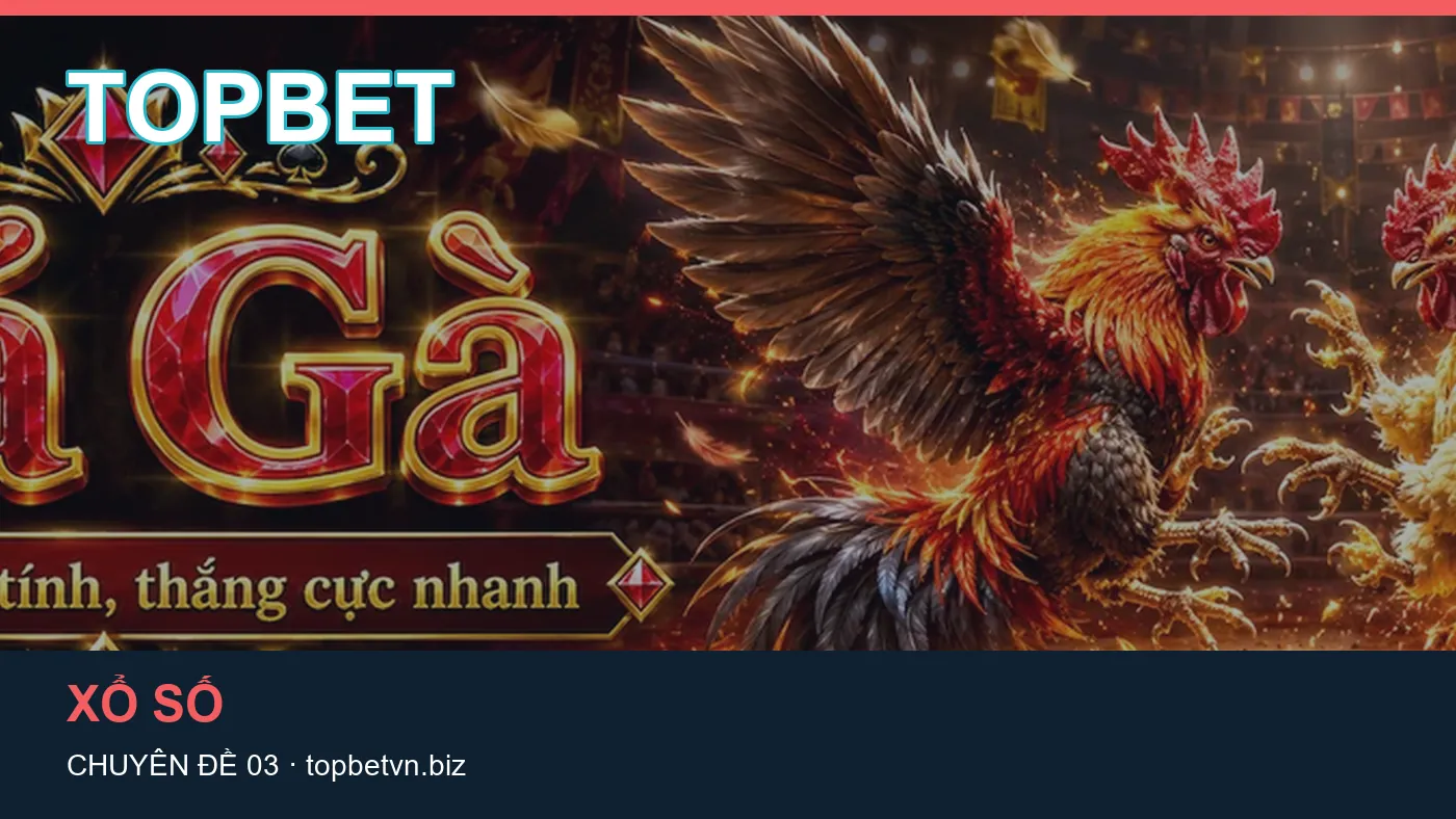Hình minh họa bài viết TOPBET