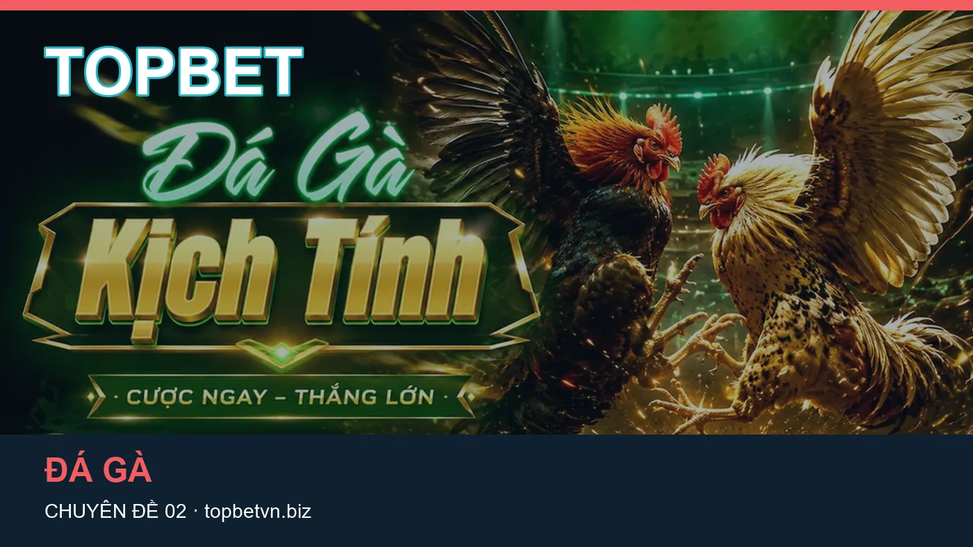 Hình minh họa bài viết TOPBET